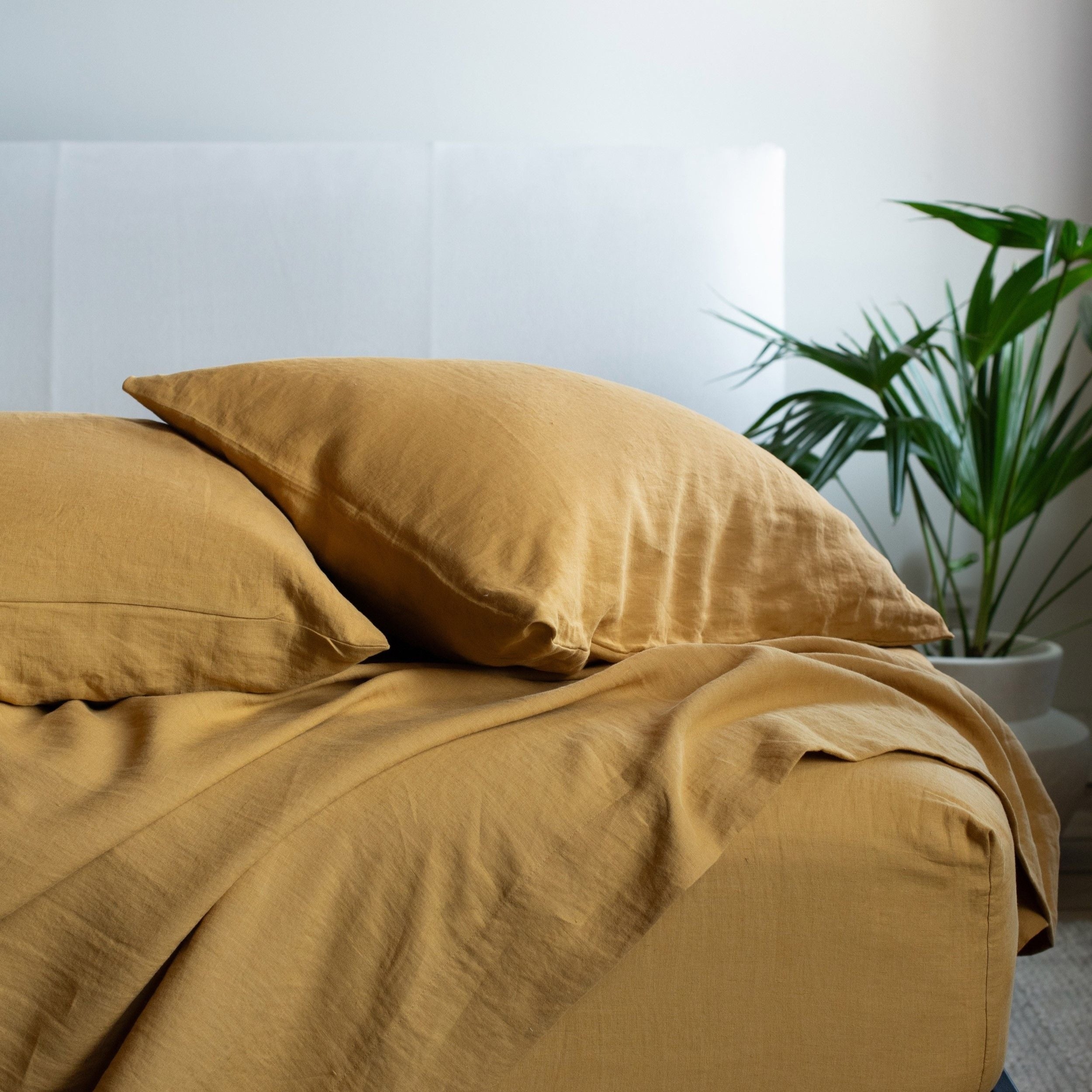 01FB1952-5F70-0A5E-3EA7-B893CC3D1F3C