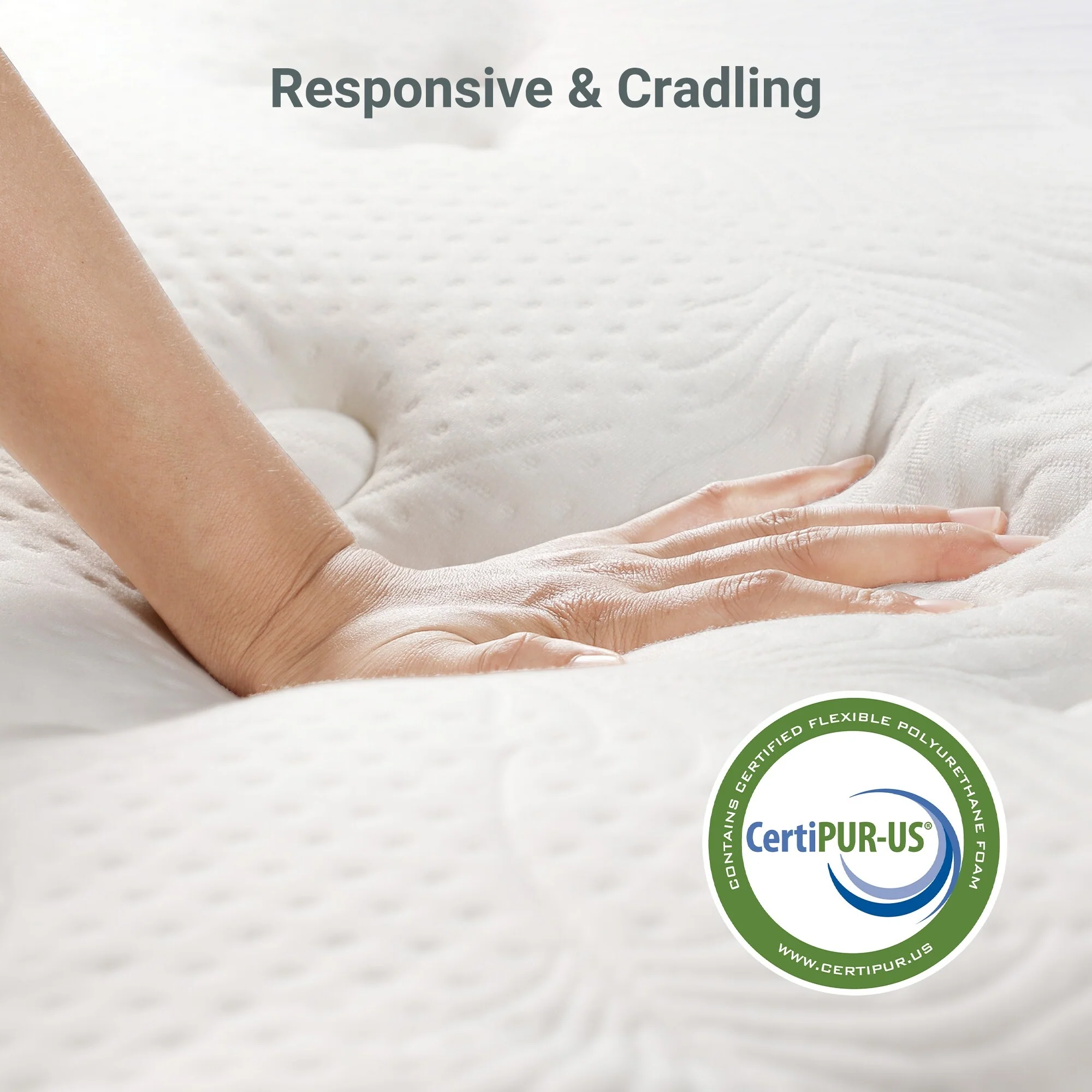 02BE68B1-656B-0671-631A-502C059FECF7