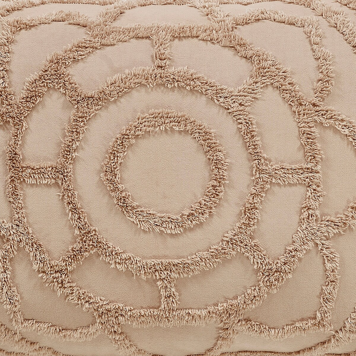 02FB1880-00AC-3775-CDDB-7B1659852063