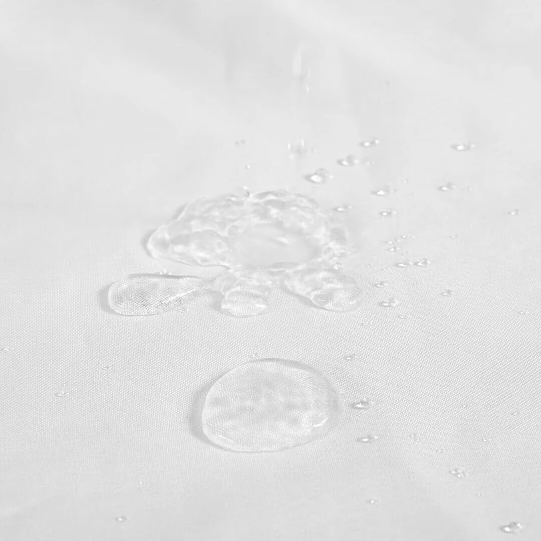 03B68403-B8C0-8C31-DE8D-81109210A9E0