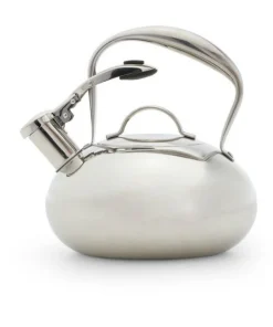 Daily Boutik Modern Industrial Stainless Steel 2-qt. Mirrored Tea Kettle - 9" x 17" x 8"