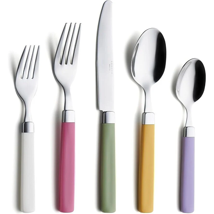 20 Pcs Stainless Steel Flatware Set with Color Handles
