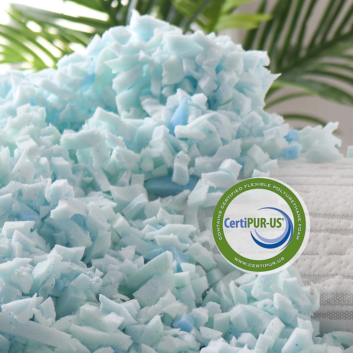 0EB6E2CA-211B-E827-47E4-58A81B09CEC2