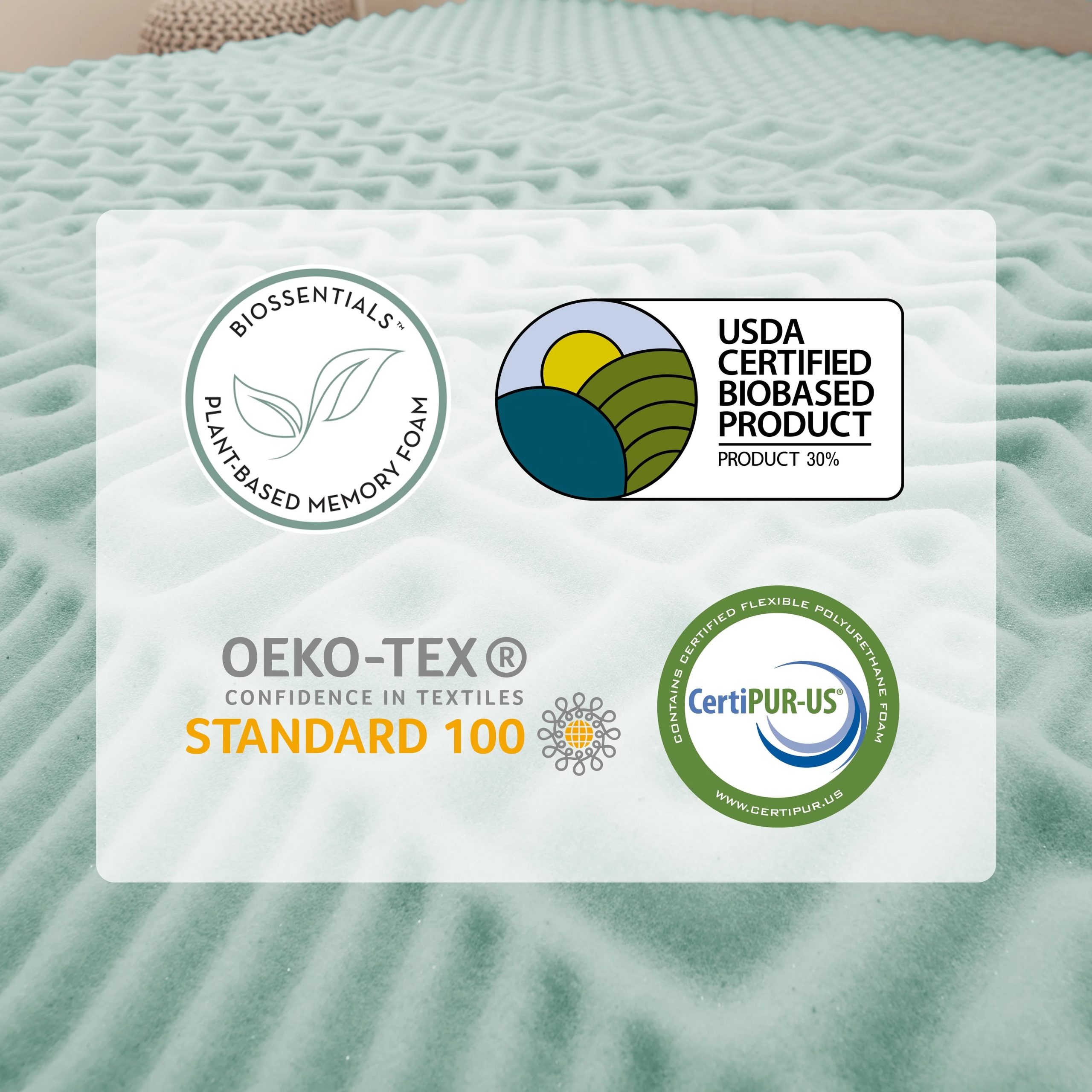 13475042-92C4-3981-2C34-FE5CC513F325