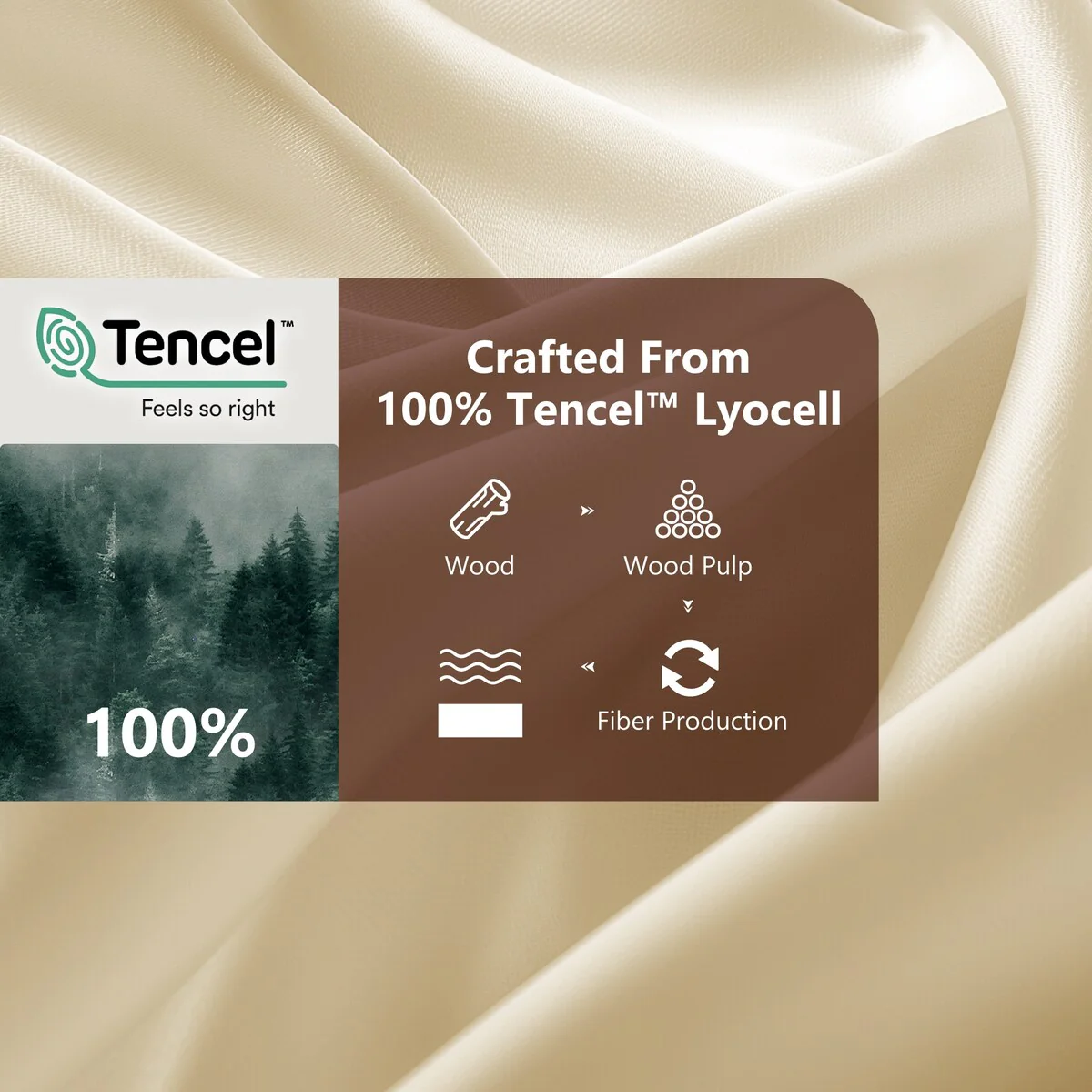 15BDC190-7DAC-BA3E-5D44-4E10BD31A160