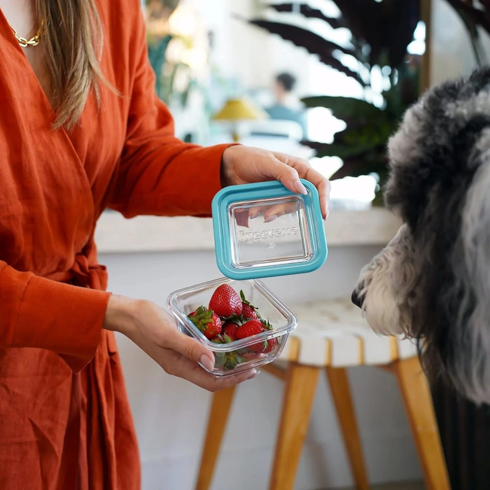 1AF87BE9-ACA3-6AA4-AB6F-2B0F663F4864