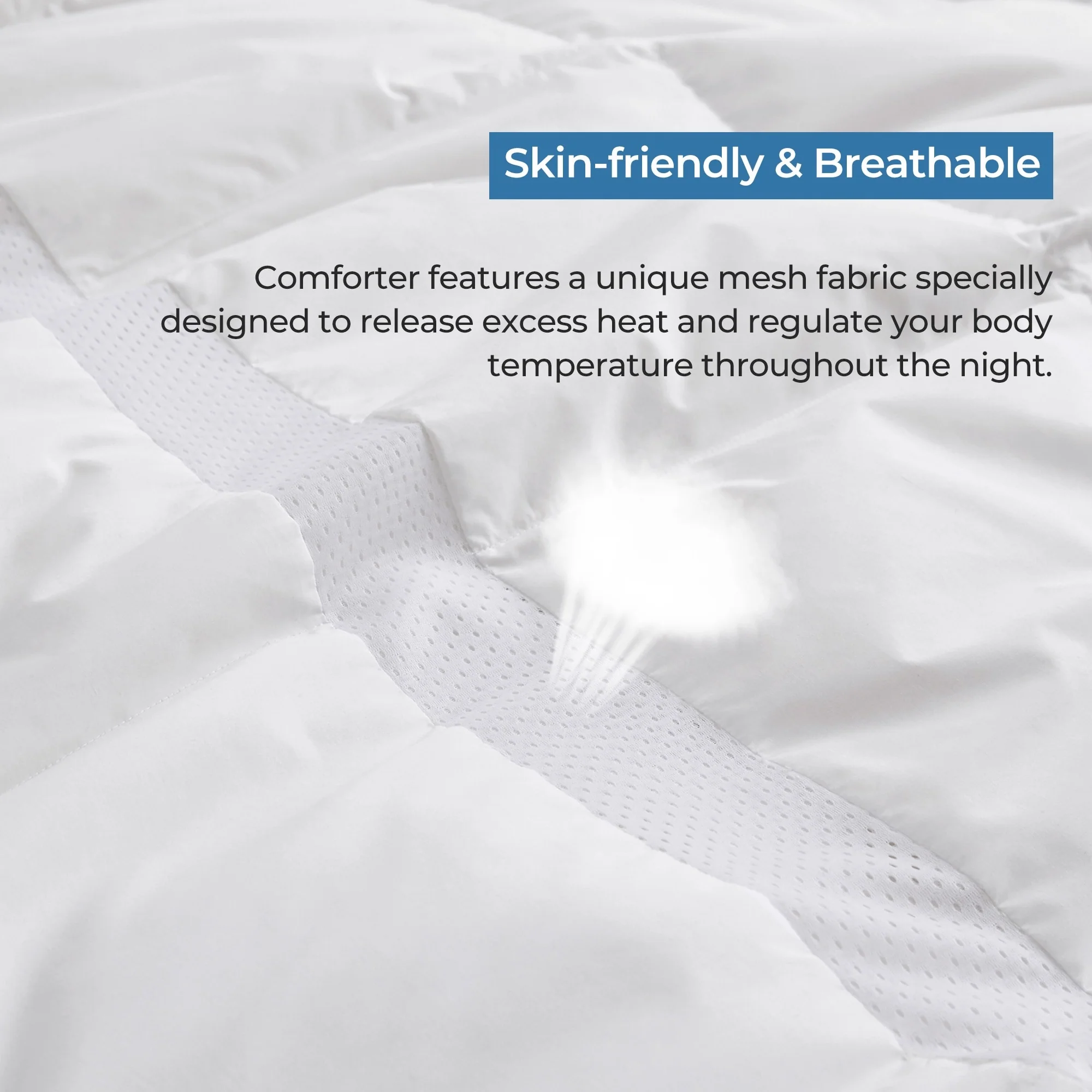 1FB51D4E-F14F-6AF9-1F65-7D7837E100D3