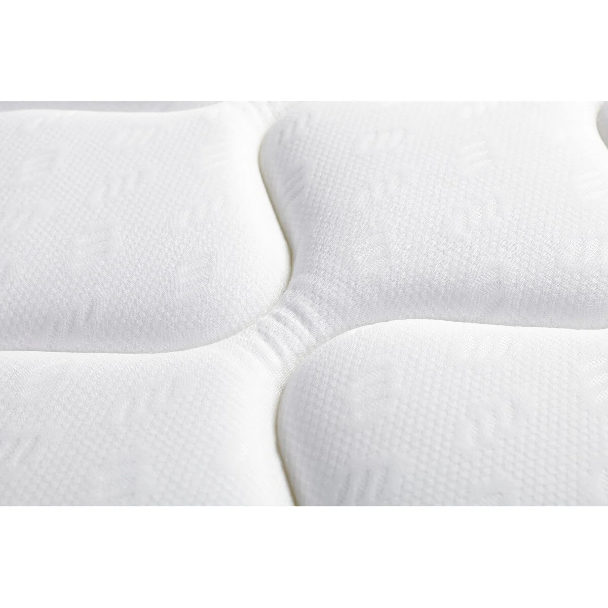 211FA904-2F00-FBA7-962D-C5101BC59419