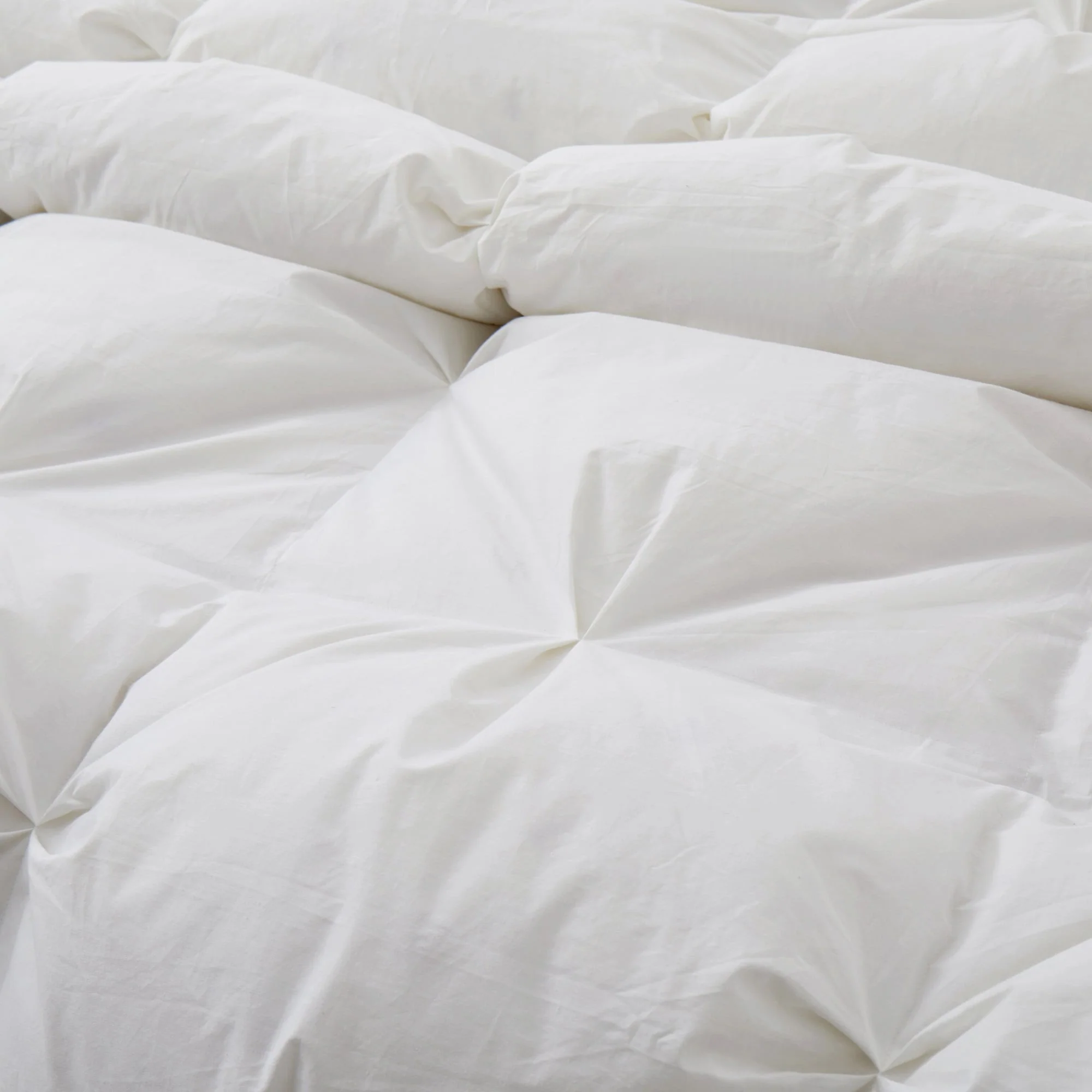 2B1D28BC-1B00-5414-A3C5-D52AE0ACE66A