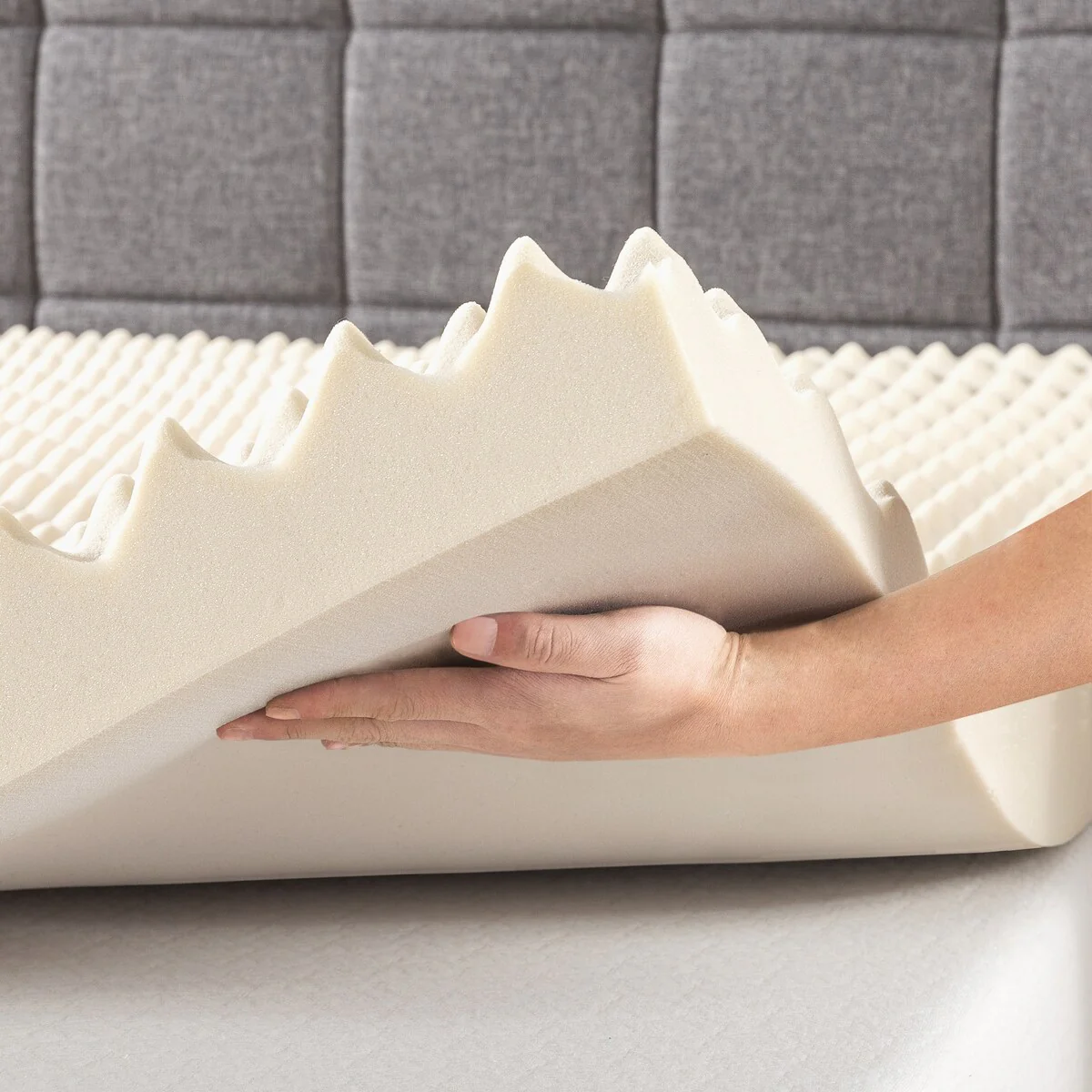 2BA19746-E731-0A7C-AFE7-D4D4A6B8E8C2