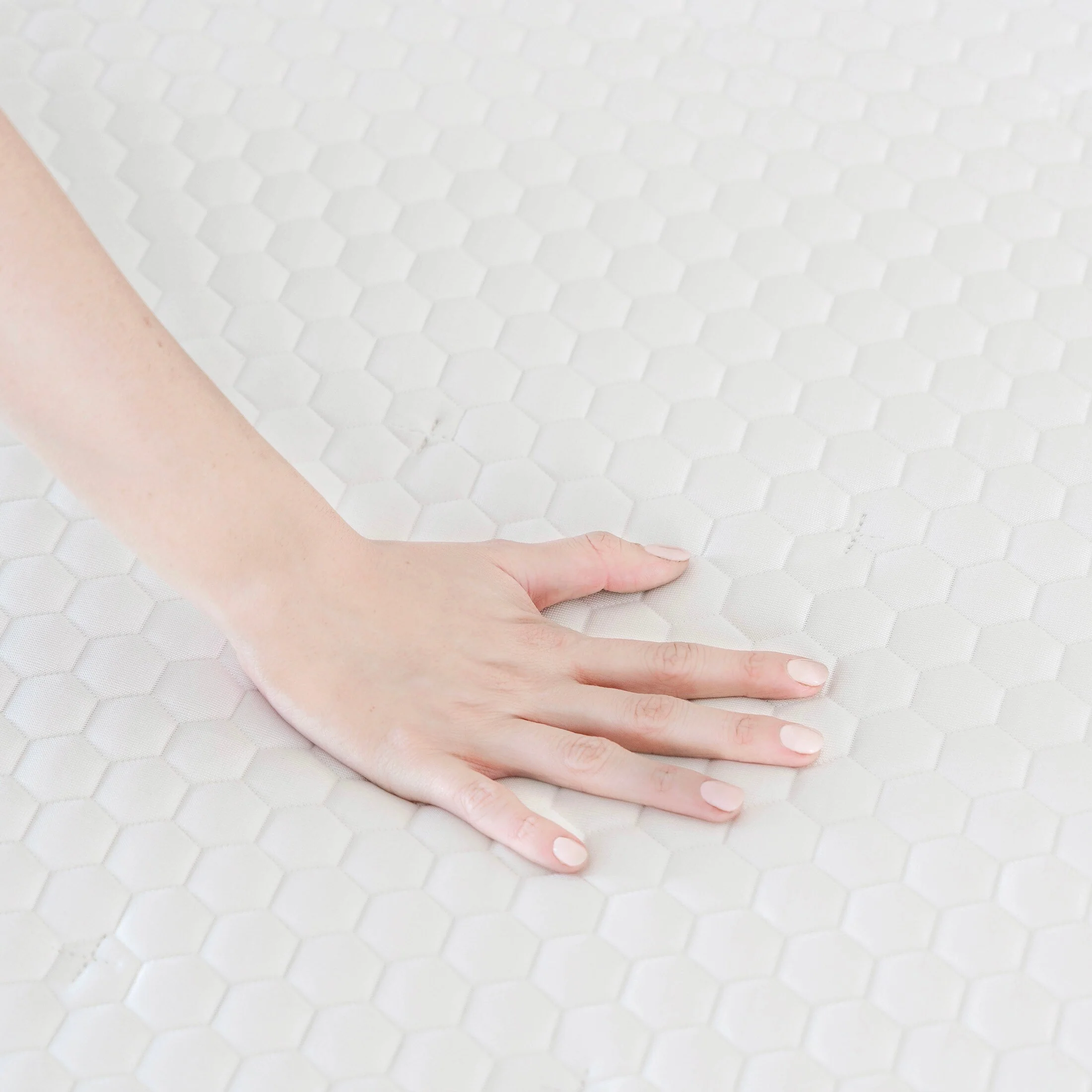 309F4B49-0B91-B2AF-83F9-F6ED68B2E89A