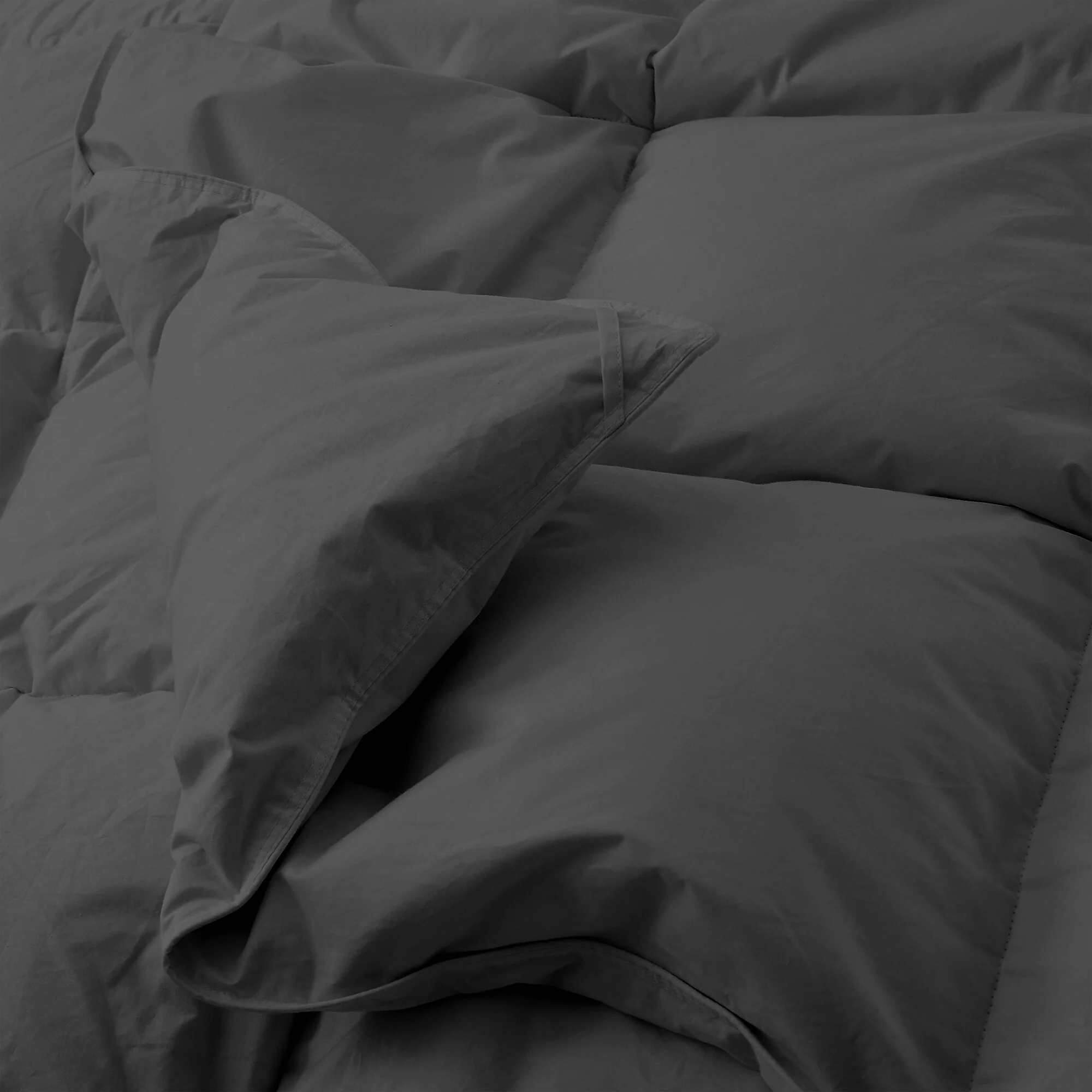 31ABD232-4044-FB3B-029B-D730D0B5E791