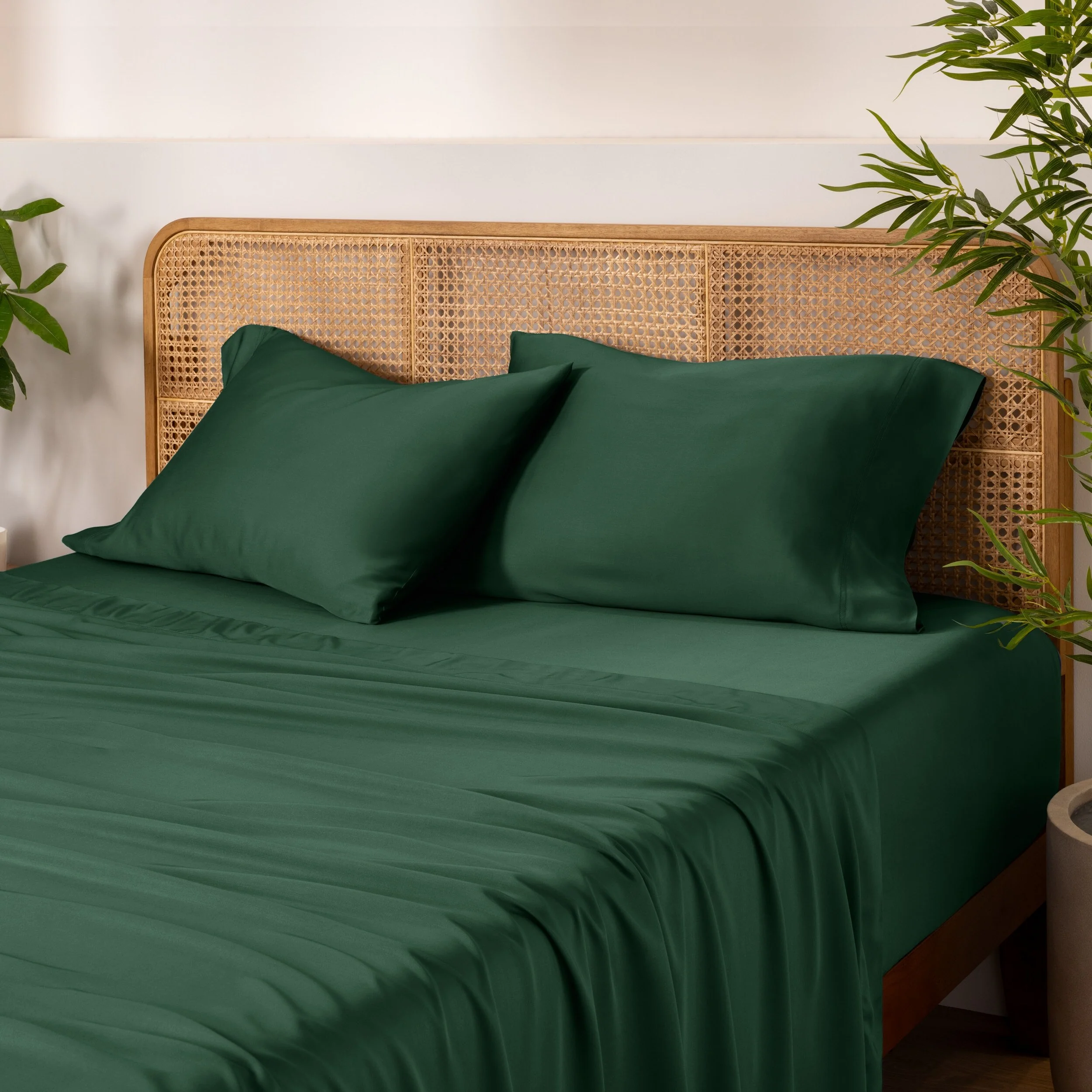 3AE50A04-7085-4FFA-6AEE-6614FAEF66C3