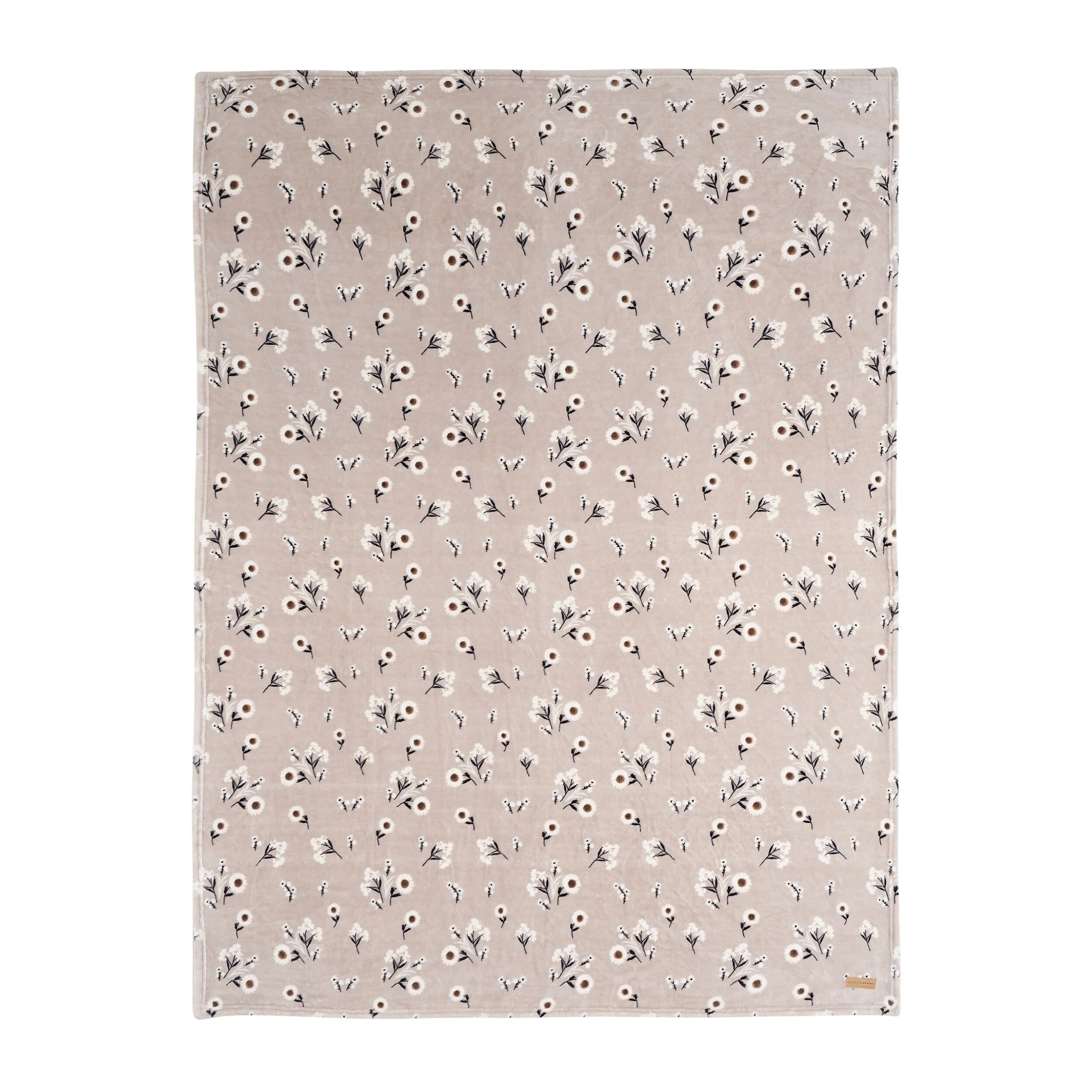 4788ED1D-2920-FE2A-ADF0-DF465D511FC3