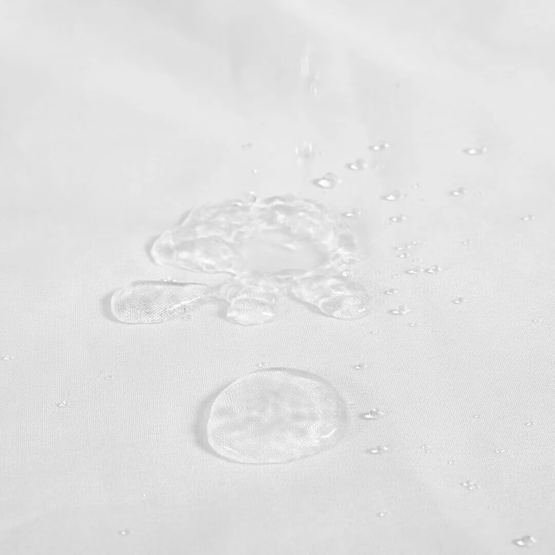 48ECDEE1-C35C-957C-09D9-813F22C86191