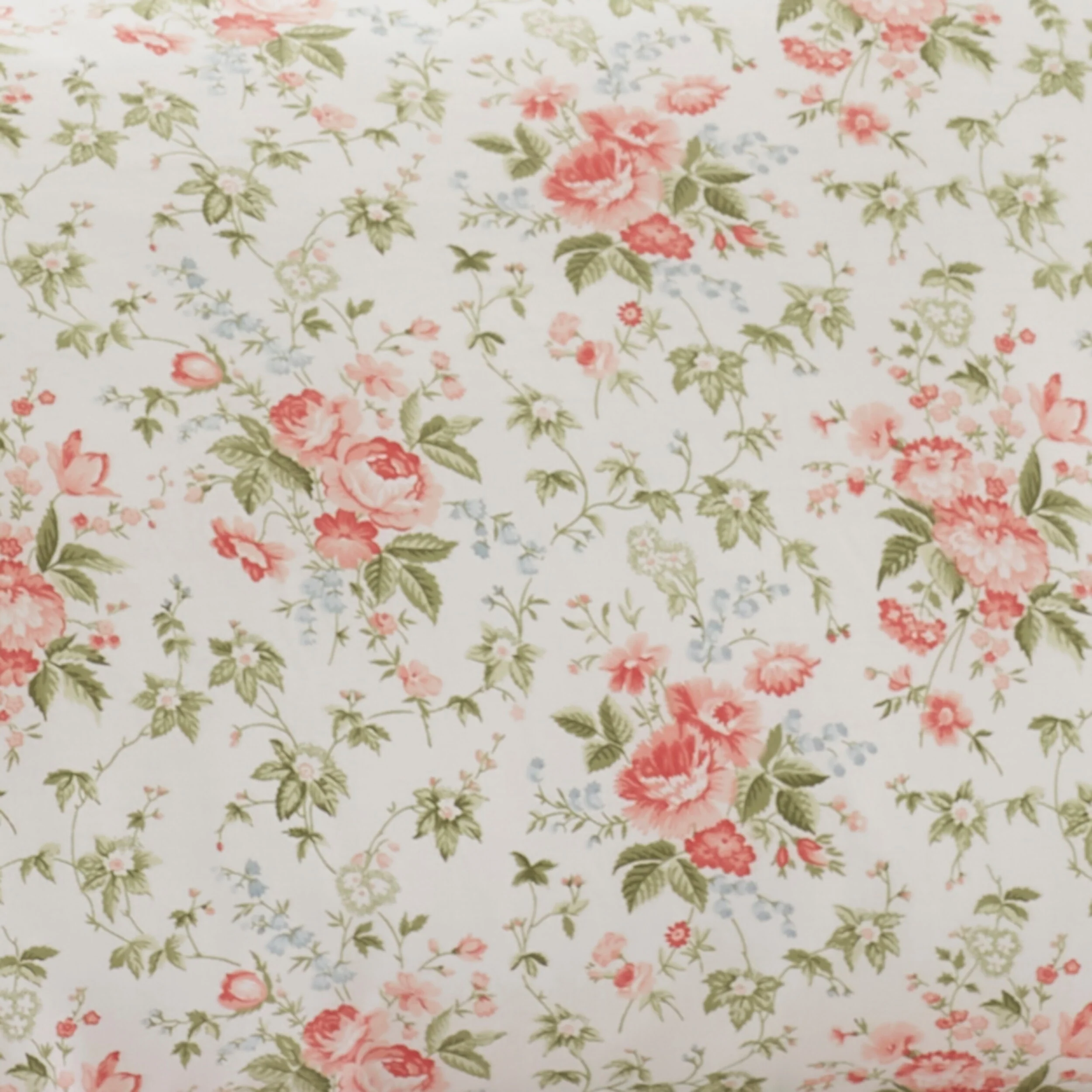 49F972BE-78B4-256C-B806-CA6676C20913