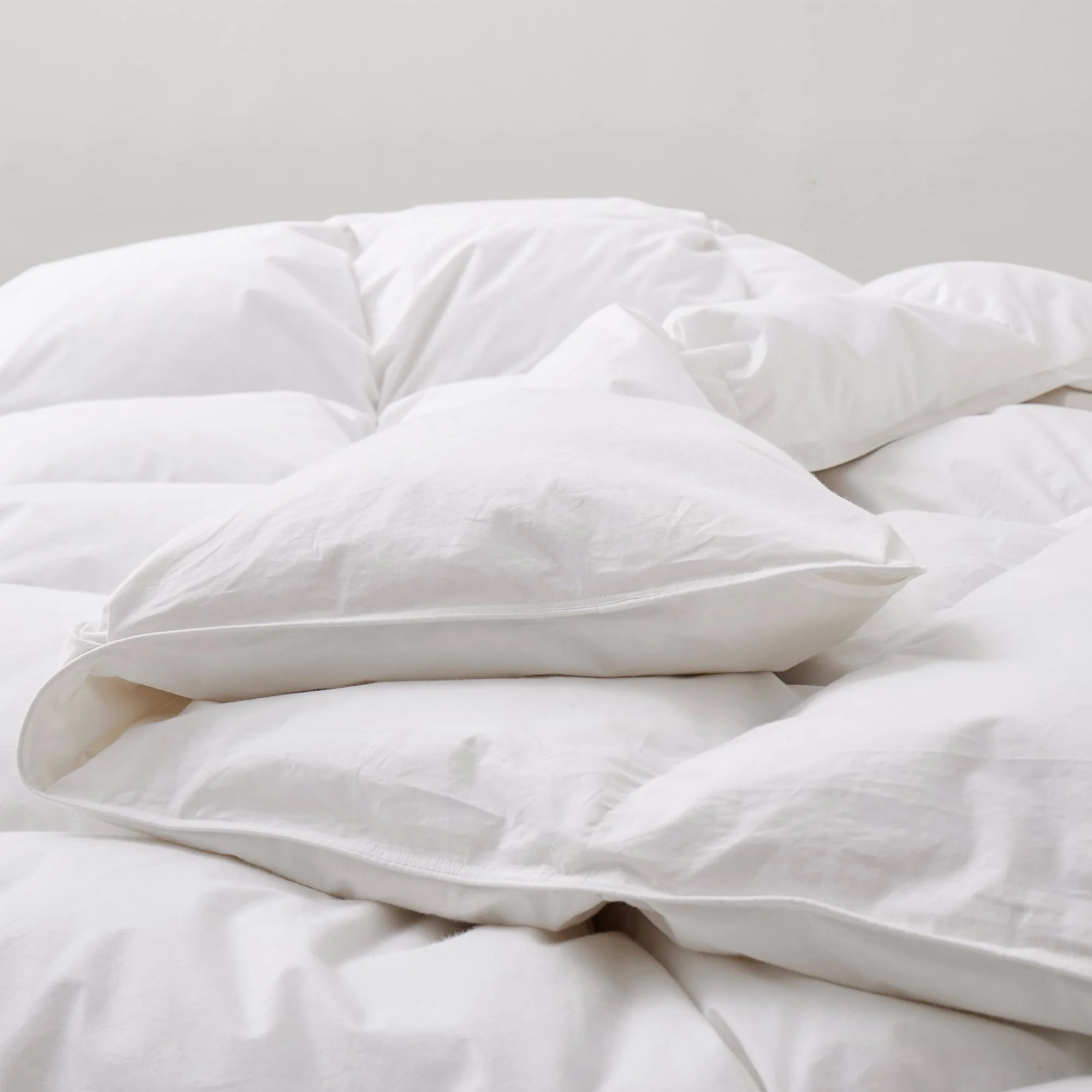 4C4BB465-FFA1-AF83-AFF5-650B8D2CEDAC