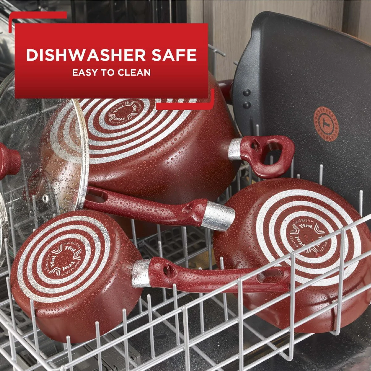 506E1B96-673B-05BE-A2F1-1D3FB83E1AA2