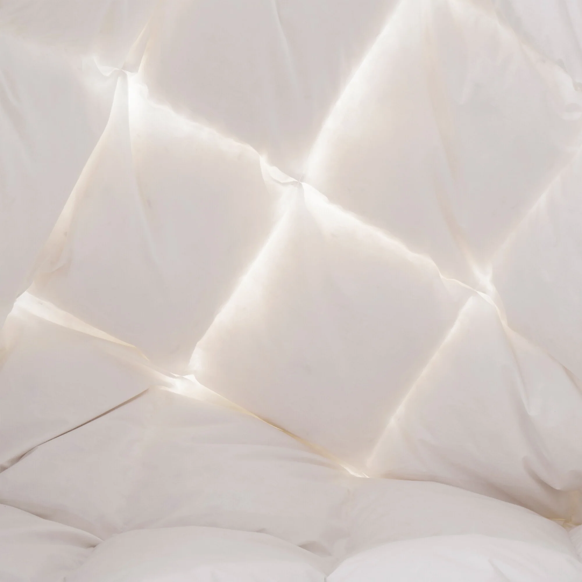 590B4197-CB83-3B57-9BE8-478FDE8F124A