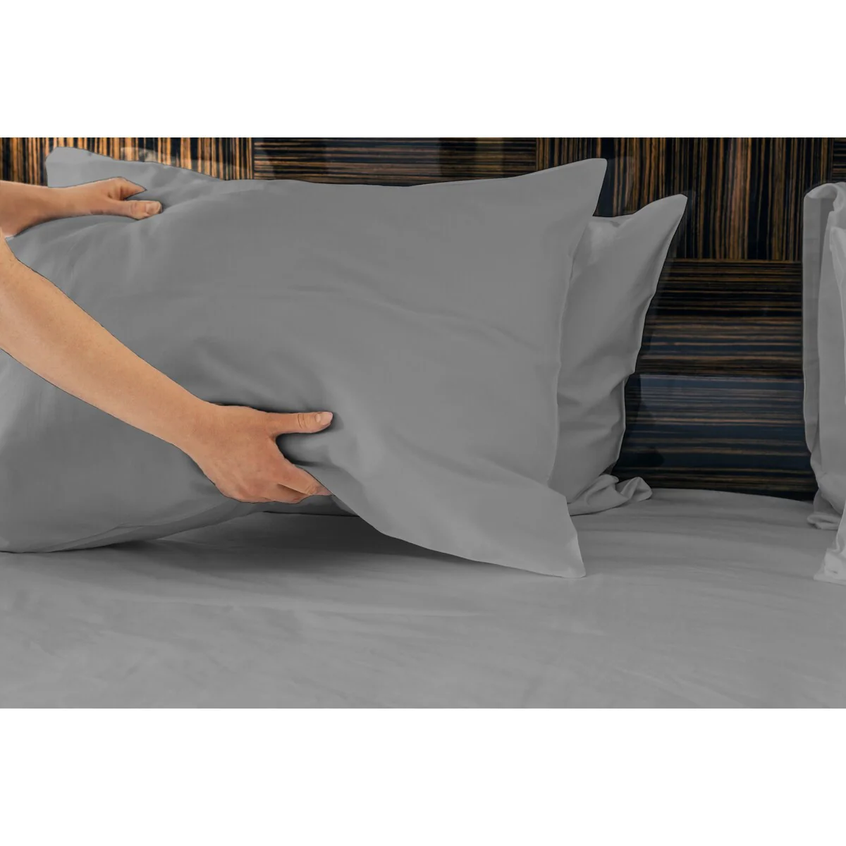 5D613D1F-97A2-B9A1-7927-DD6CE8BE46D1