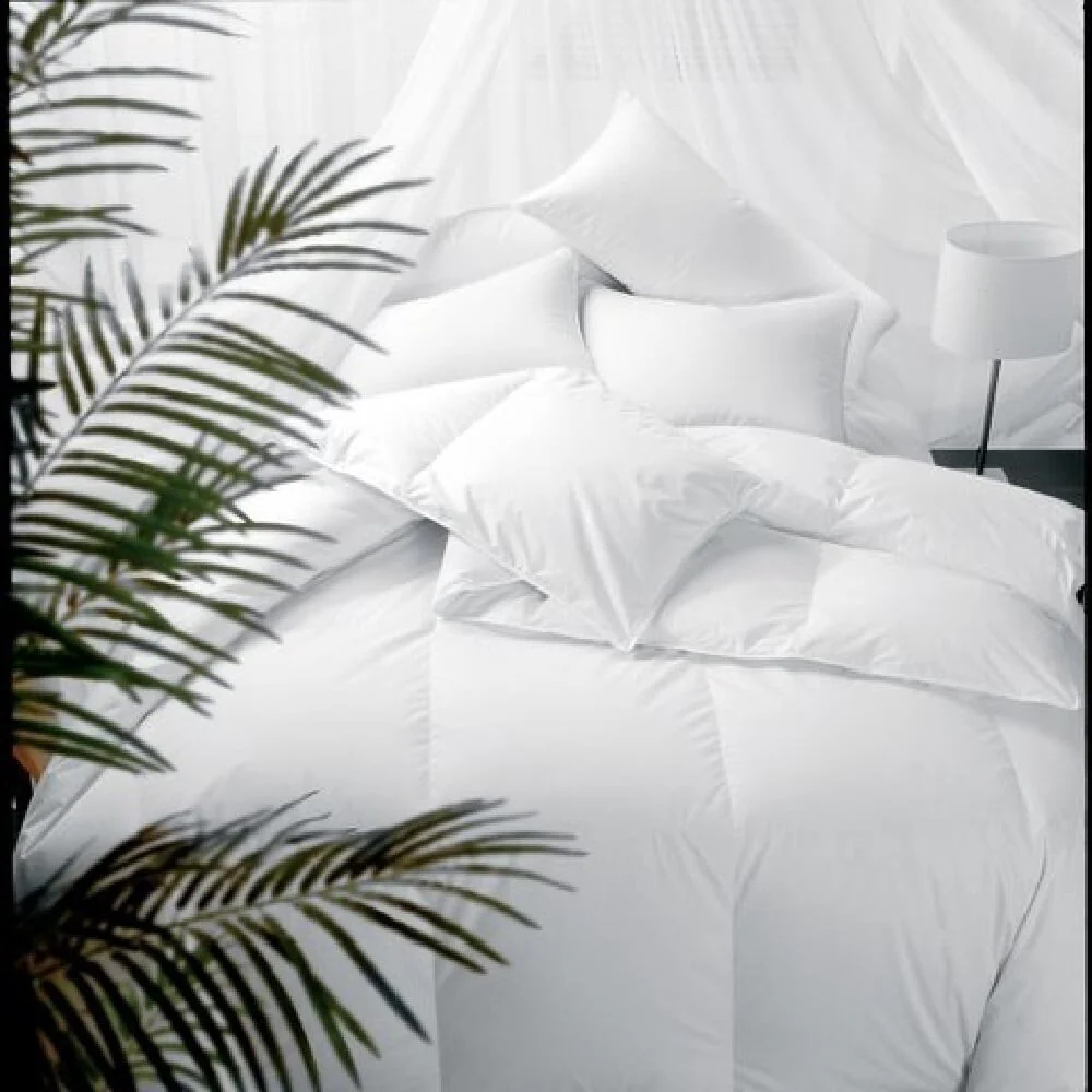 6105C510-448F-20F6-810A-4C8E6A185D30