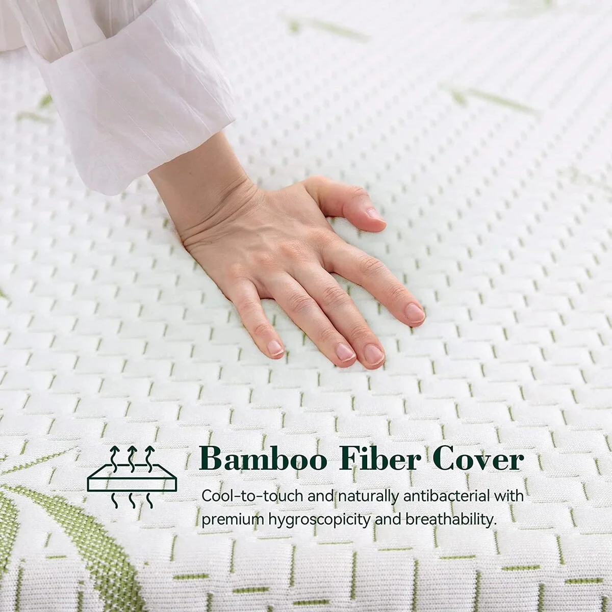 6C4A4CB9-B938-D1CC-B0D6-BA5C3E346BEC