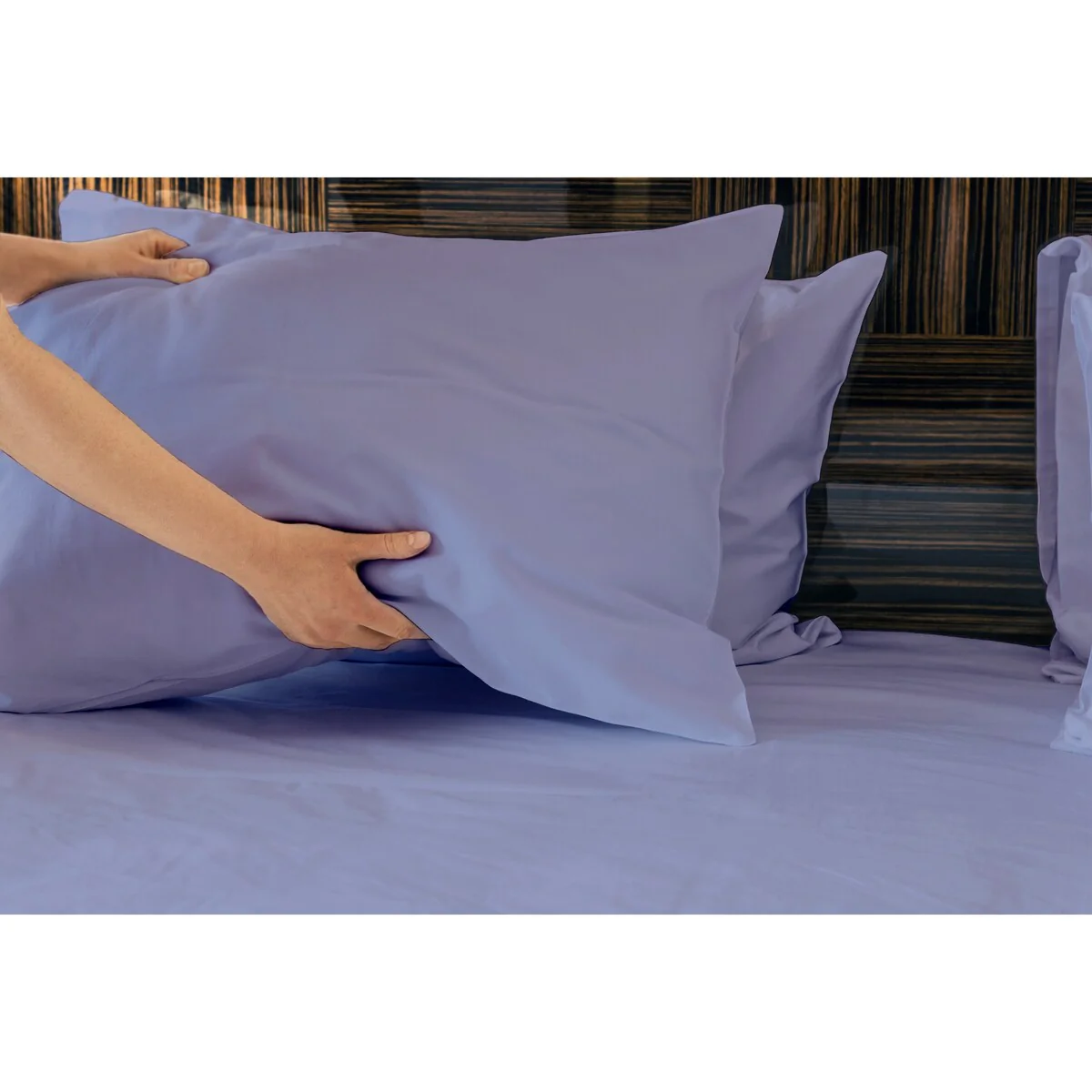 70B9FA17-014C-4657-6337-0AAE0FF51301