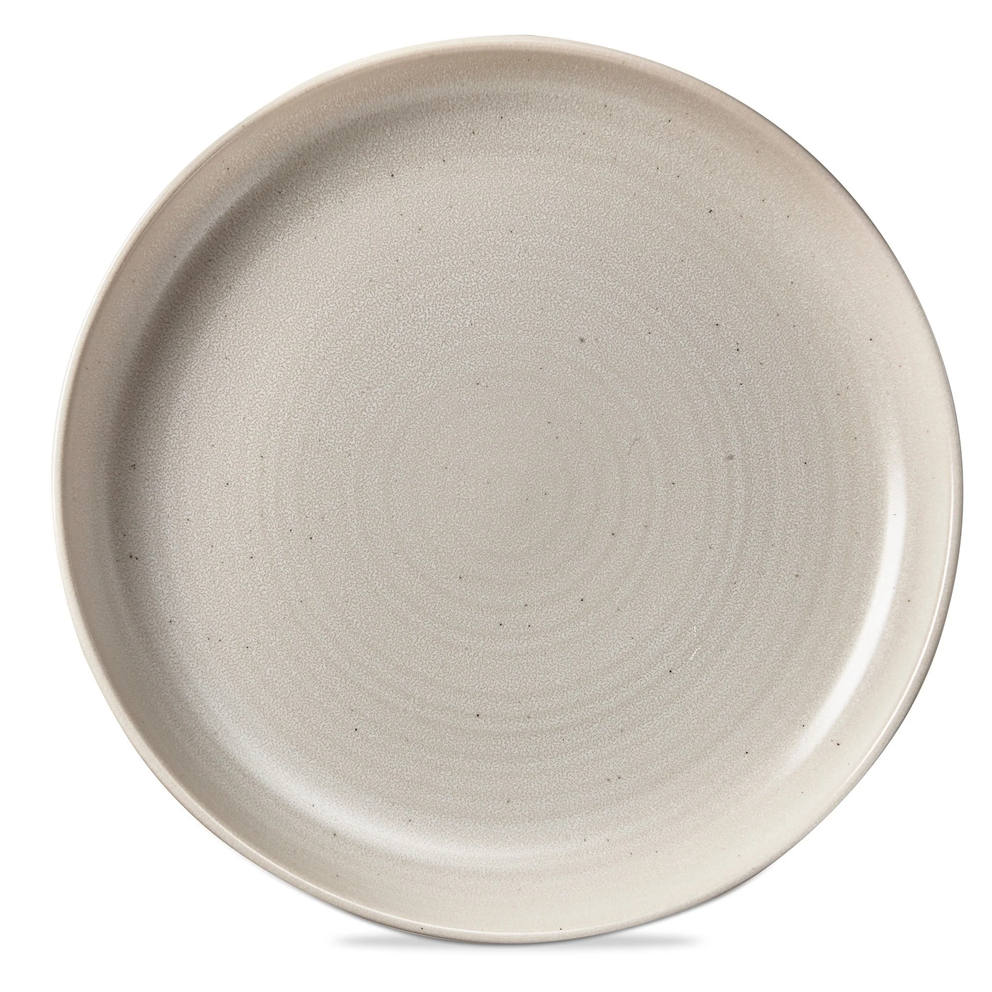 Loft Speckled Reactive Glaze Stoneware Dinnerware Plate 11.25 inch Matte White Dishwasher Safe