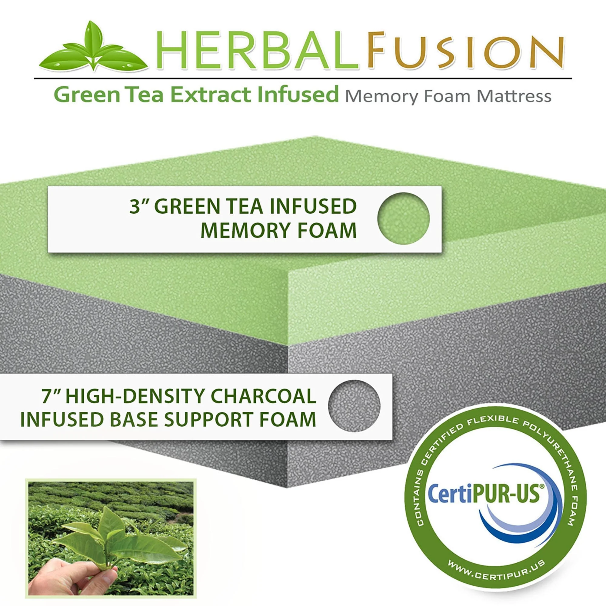 81996DBF-9452-2A8E-20EC-1E4C3EB24671