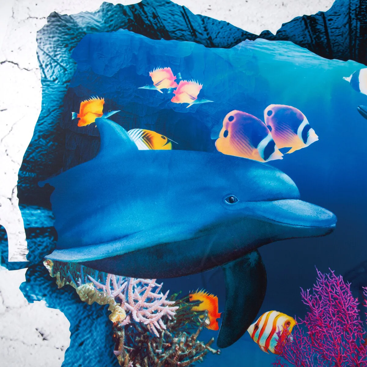 96205154-36EF-6EDE-59D4-15B7224867C2