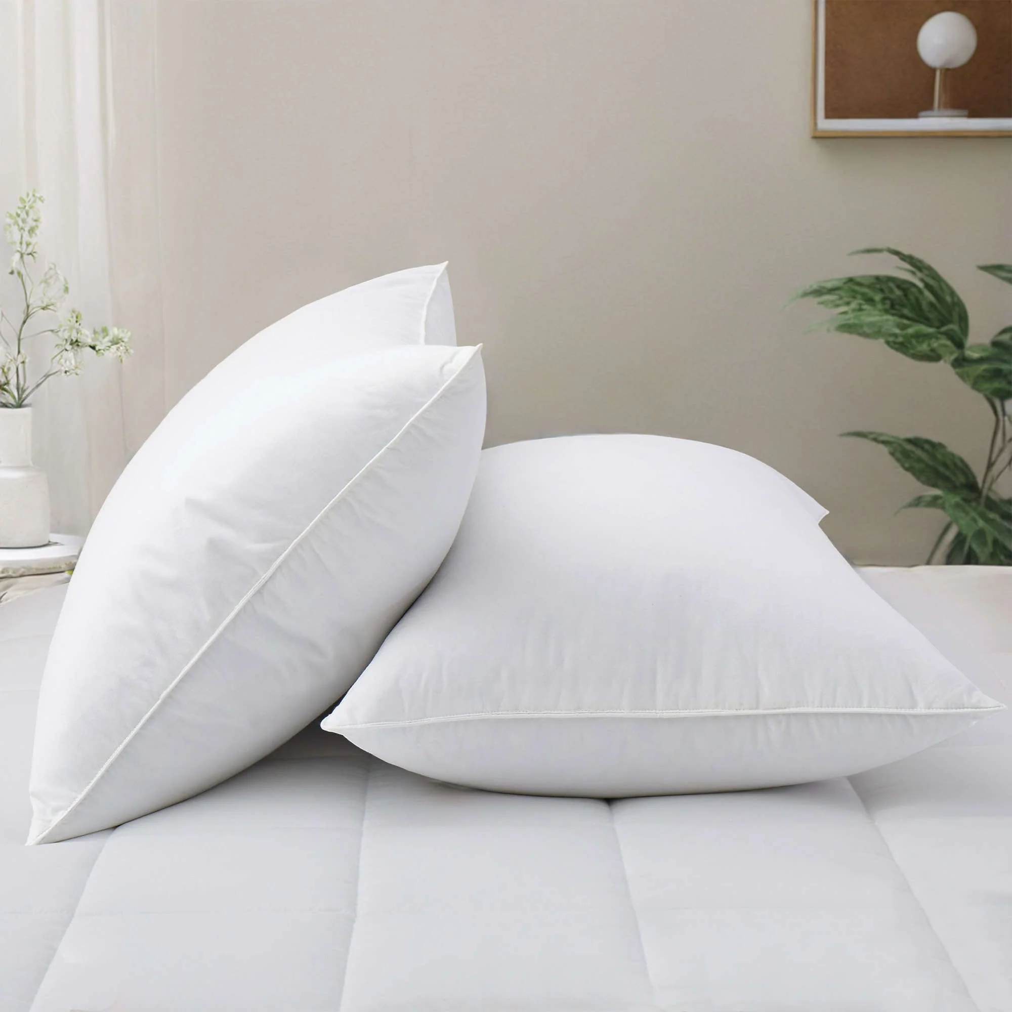 9E65FC47-01D6-58F0-A201-4B925E1AD396