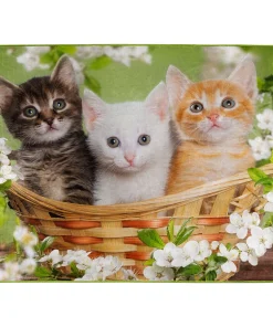 American Wilderness Collection Basket of Kittens Wilderness Raschel Throw Blanket