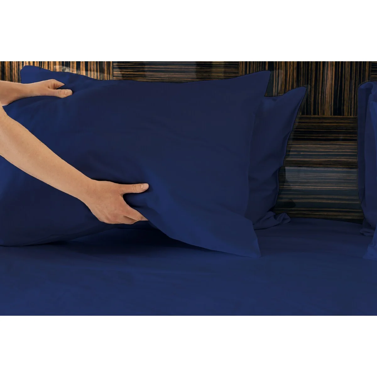 A73A2F9C-39AA-7990-9EFE-FC58288279D2