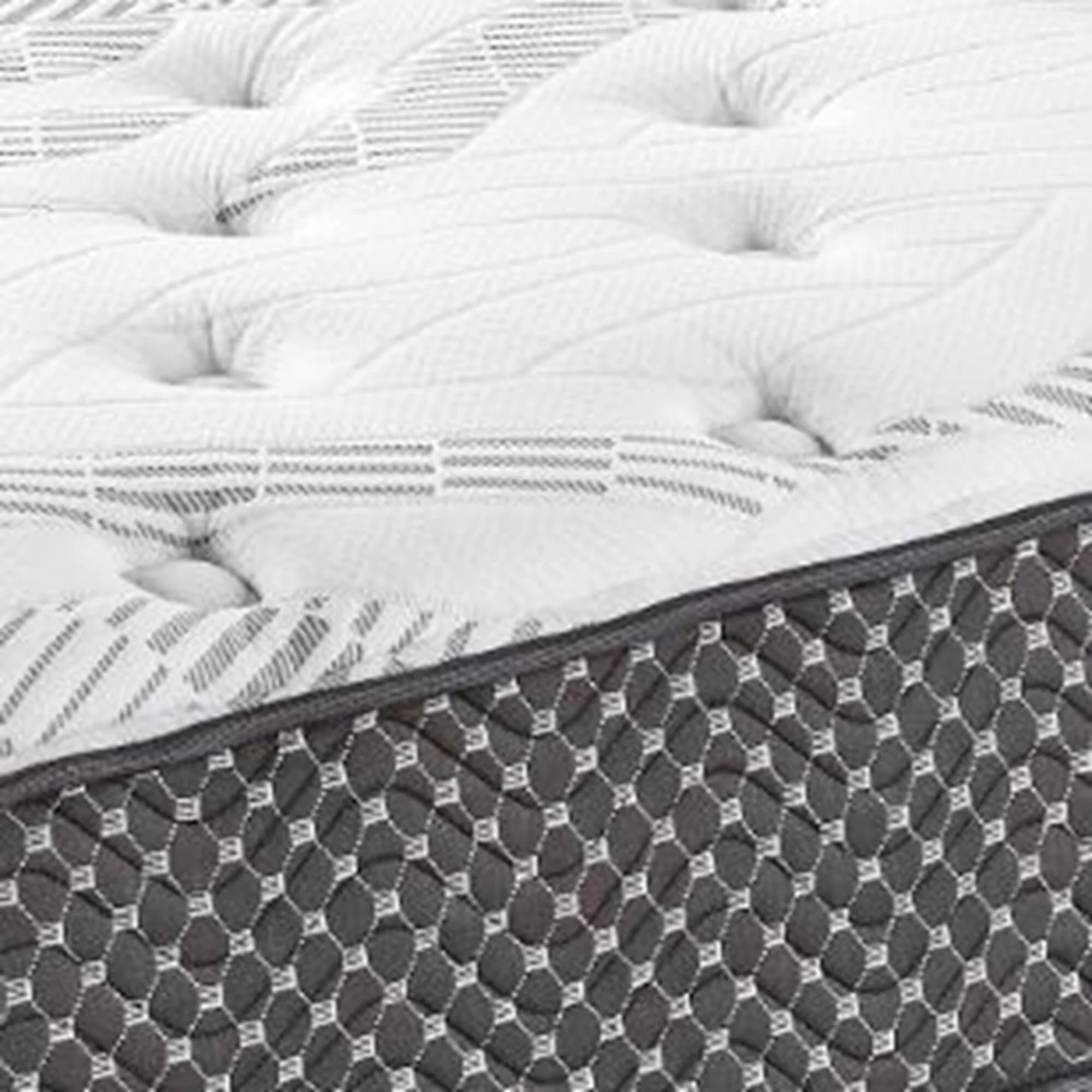 B1B2B3EA-316F-2381-D6F0-FBF733349F9F