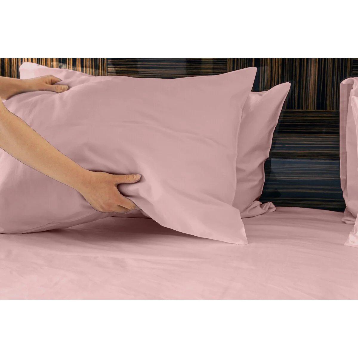 B301BB20-A20B-4D21-4FDB-351534719A7E