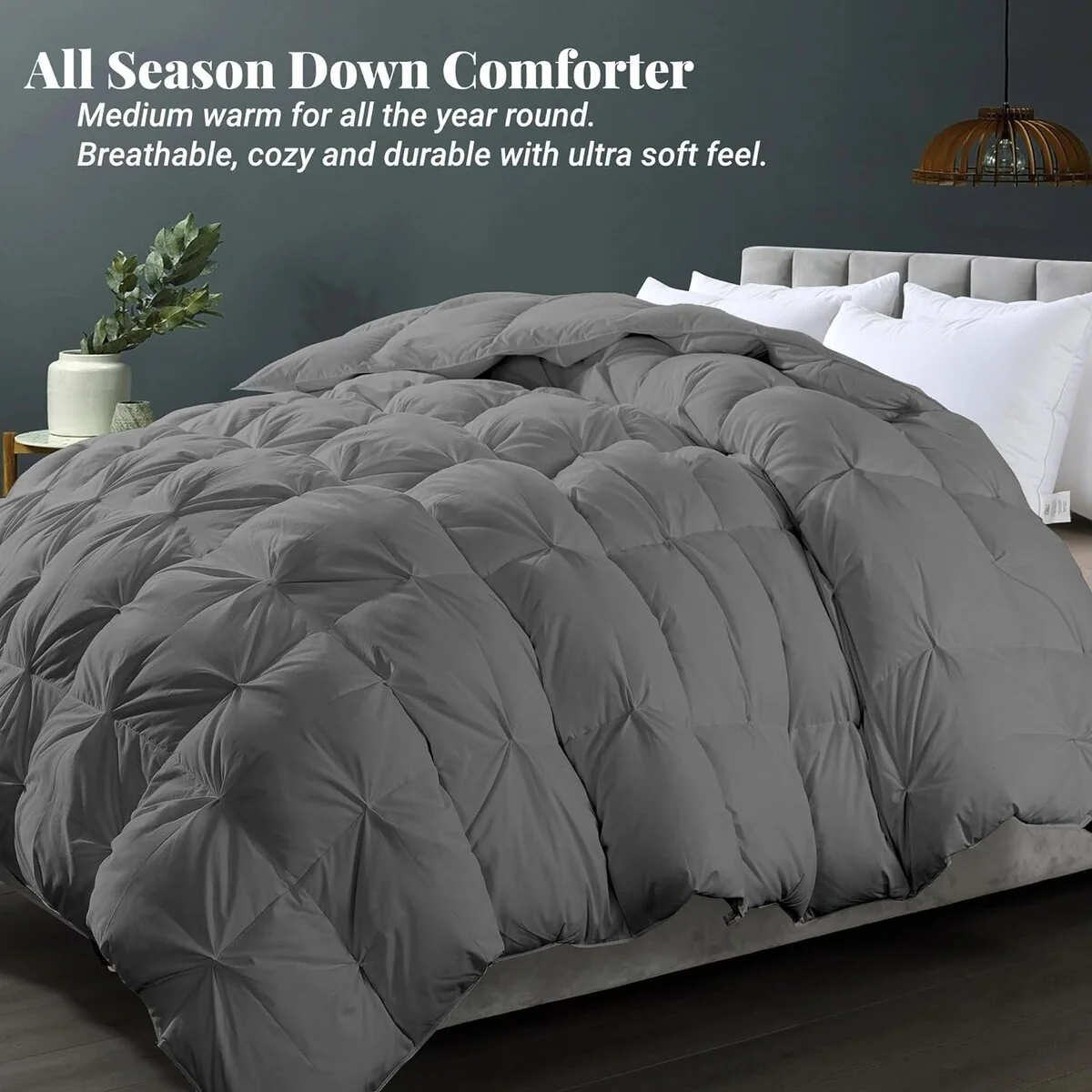 B35C7936-0C6B-45BA-F5D1-B1D434D7F0A0