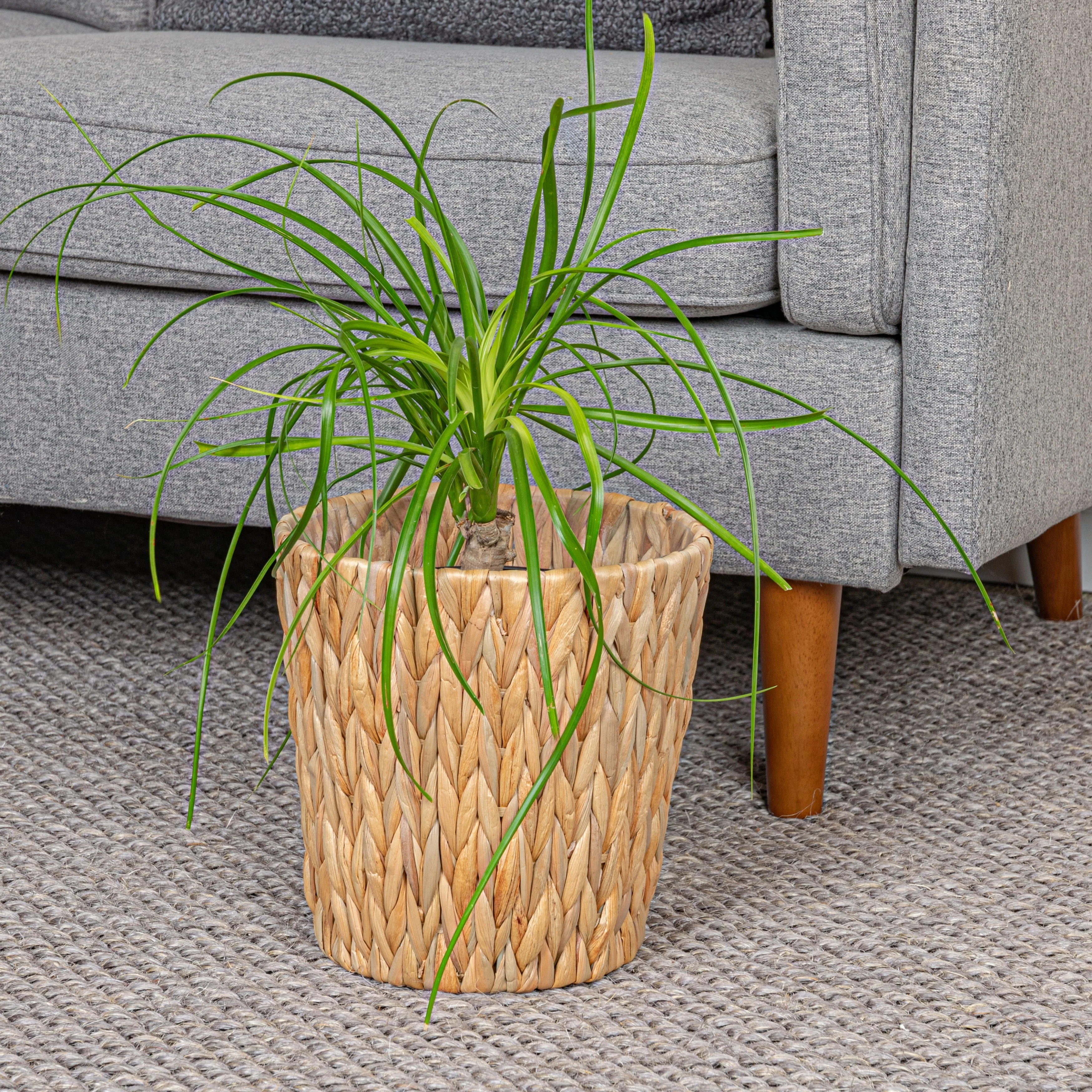 Household Essentials Handwoven Water Hyacinth Waste Basket with Plastic Liner