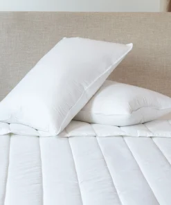2 Pack Down & Feather Chamber Pillow by BOKSER HOME - N/A