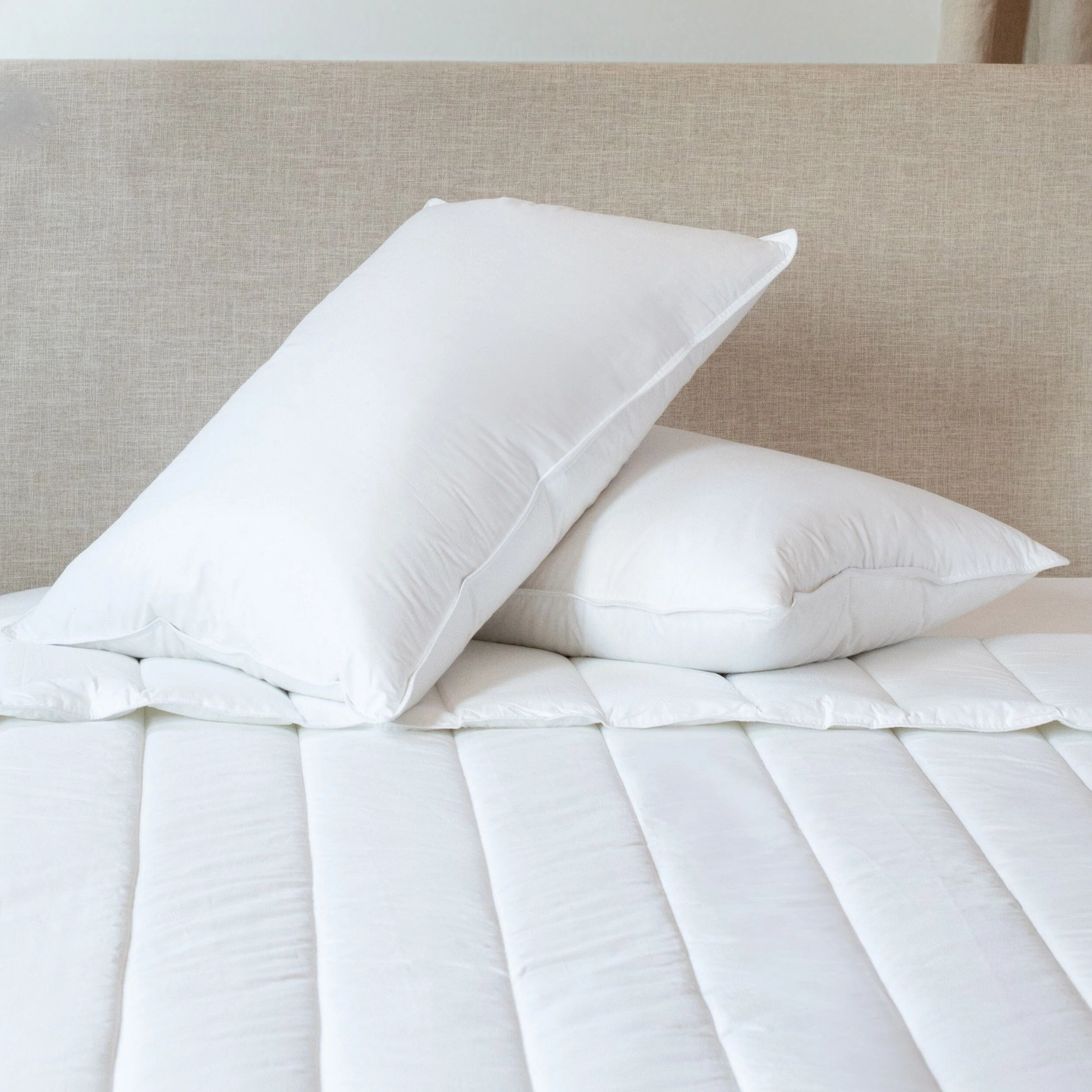 2 Pack Down & Feather Chamber Pillow by BOKSER HOME - N/A