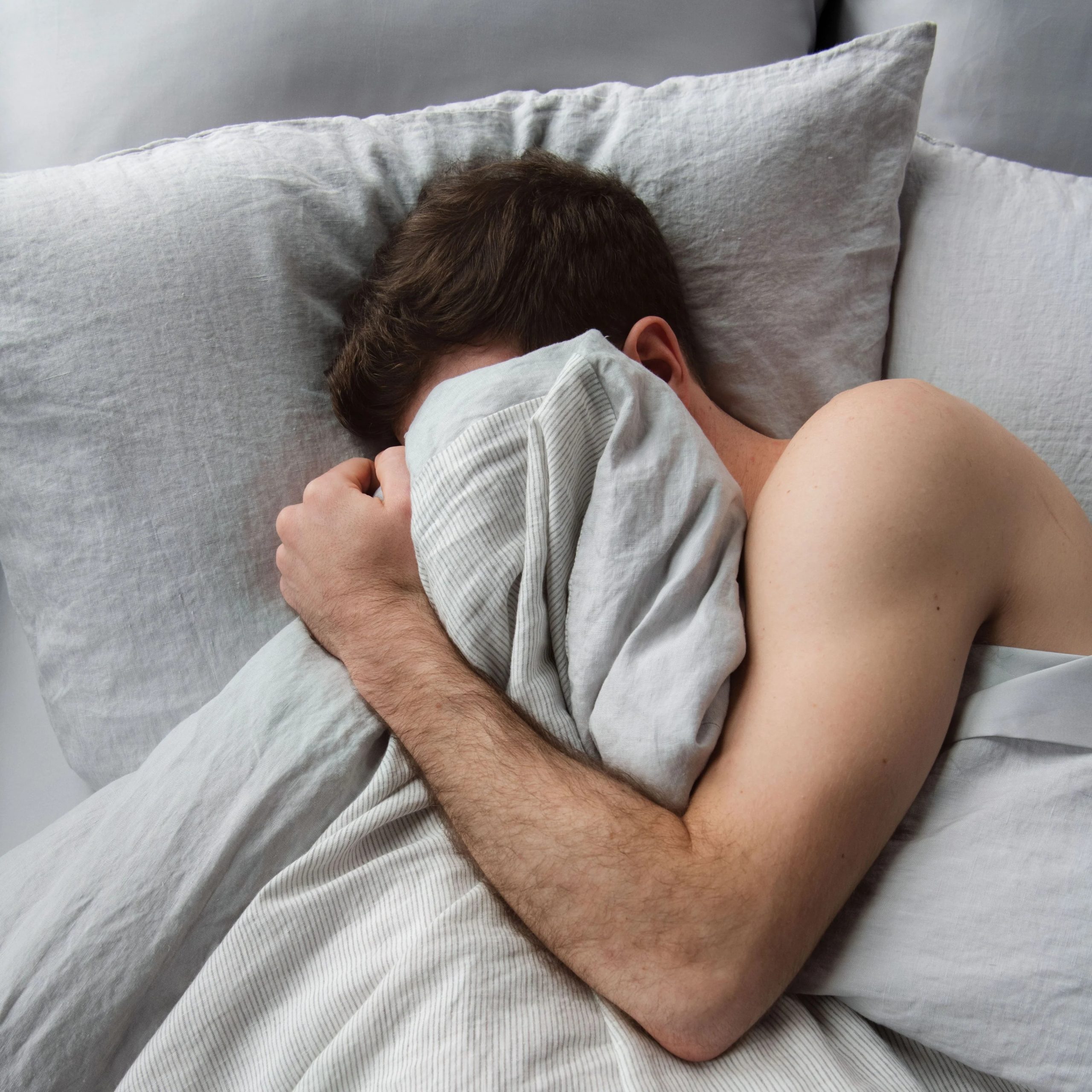 CD8E6ECB-86E8-CE65-3092-ECEBB3CAD777