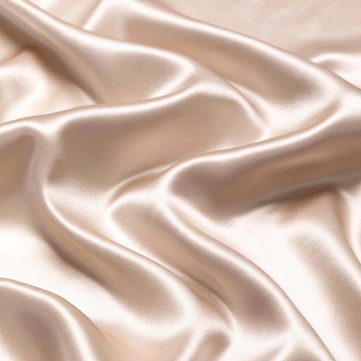 E16C7E45-031F-57D9-63E0-E127DDD086D3