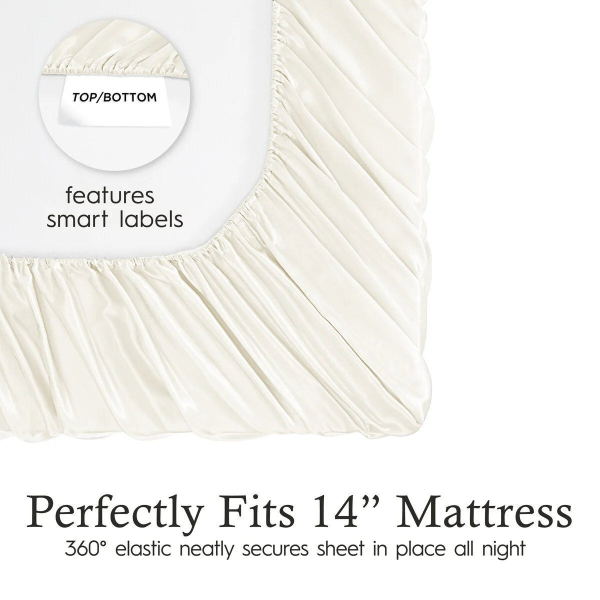 EE46B121-1B5B-F187-B53B-96547382ADD1