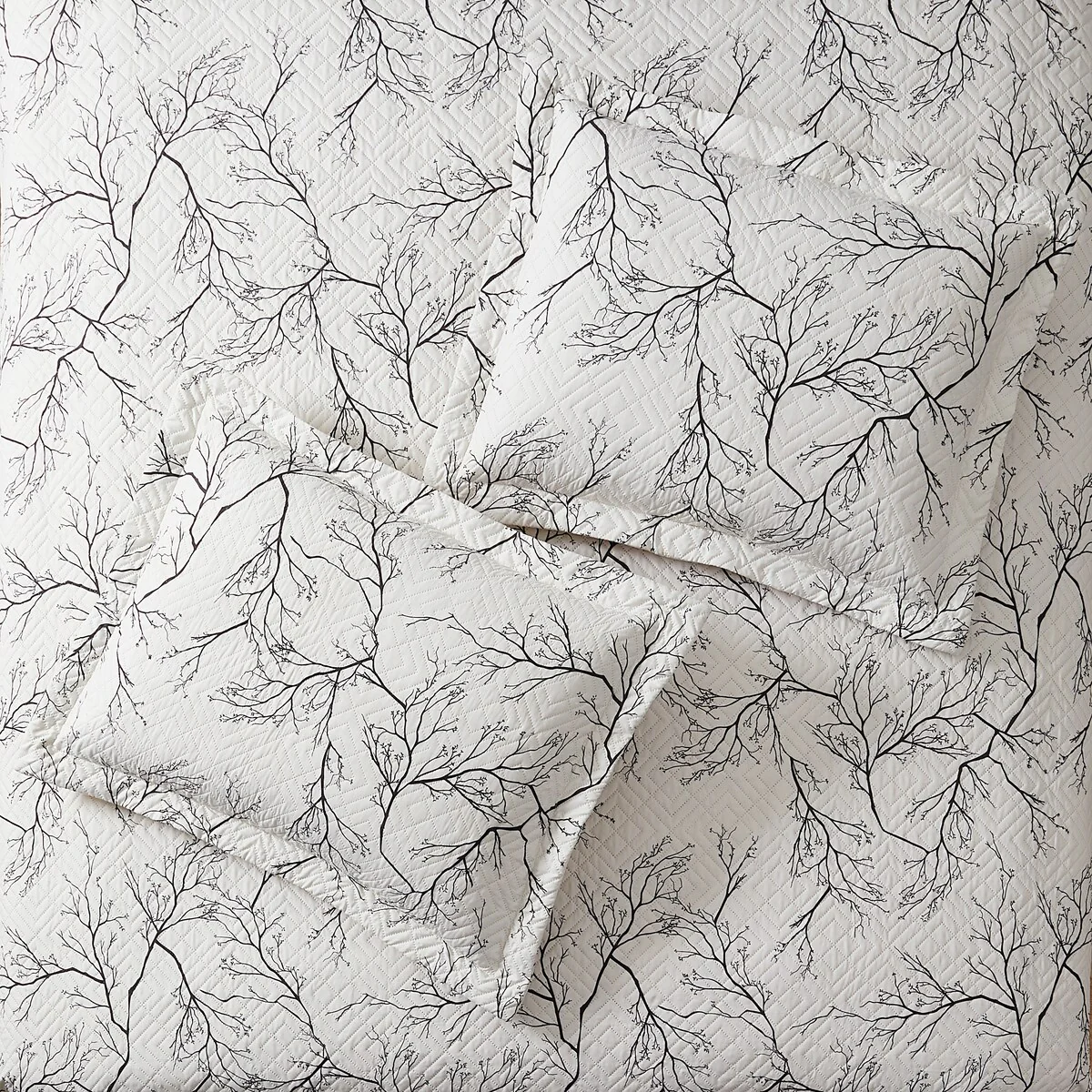 F6B2C4EF-11EB-8B29-F68B-7899D8770006