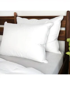 2 Pack White Duck Feather & Down Bed Pillow by BOKSER HOME