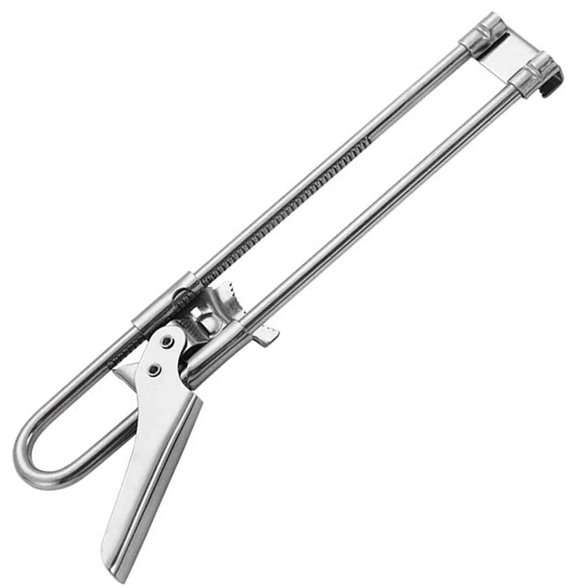 FC66E919-8A4E-138C-90C6-171018CB5BA9