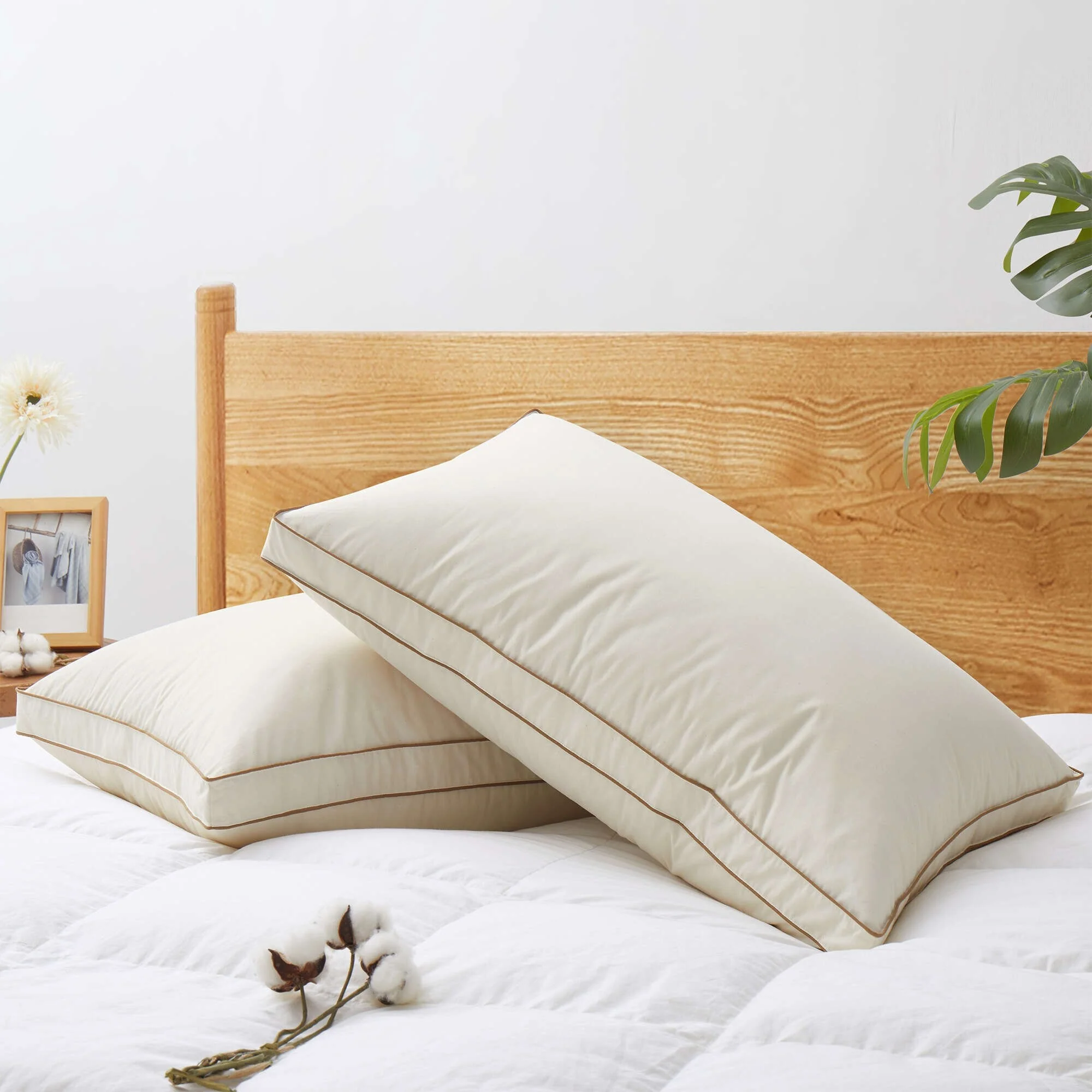 FCCA64AC-08DD-9A3B-94B3-1AE355399709